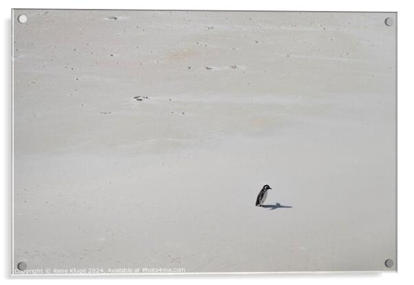 Lonely Penguin  Acrylic by Rene Kluge