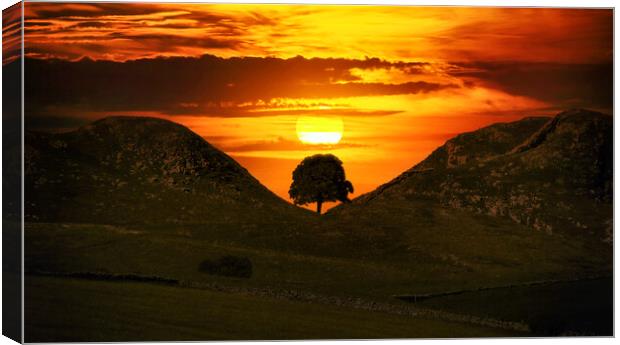 sunset behind the silhouette of Sycamore Gap Canvas Print by Guido Parmiggiani