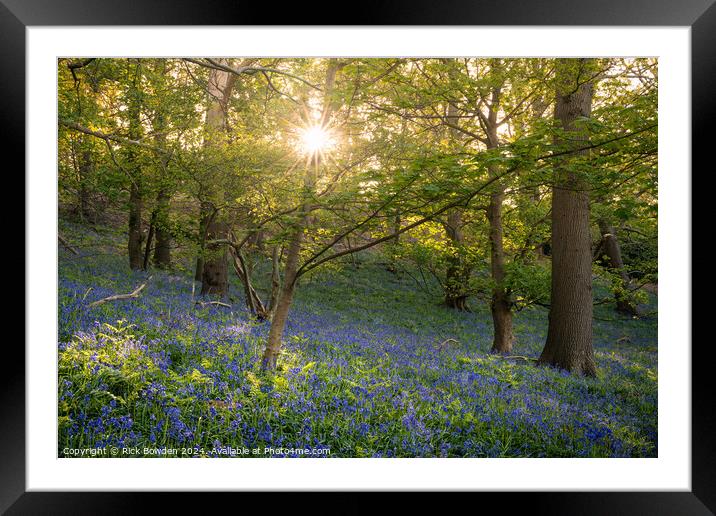 Bluebell Sun Star Framed Mounted Print by Rick Bowden