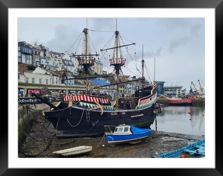 Golden Hind Framed Mounted Print by Tony Murtagh