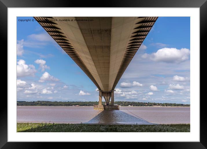 Under the Humber Bridge Framed Mounted Print by Avril Harris