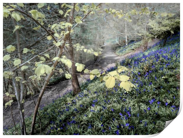 Beech Leaves and Bluebells Print by Kate Lake