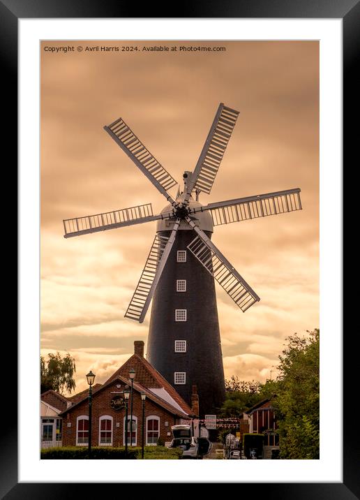 Waltham Windmill Grimsby Framed Mounted Print by Avril Harris