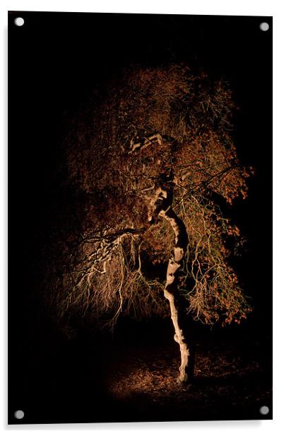 Tree at night Acrylic by Karl Thompson