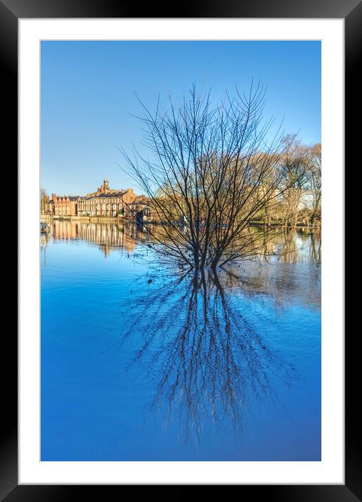 York River Ouse in Spate Framed Mounted Print by Alison Chambers