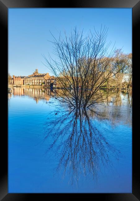 York River Ouse in Spate Framed Print by Alison Chambers