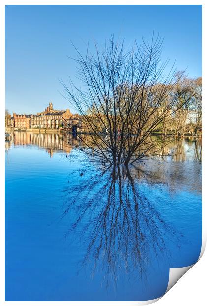 York River Ouse in Spate Print by Alison Chambers