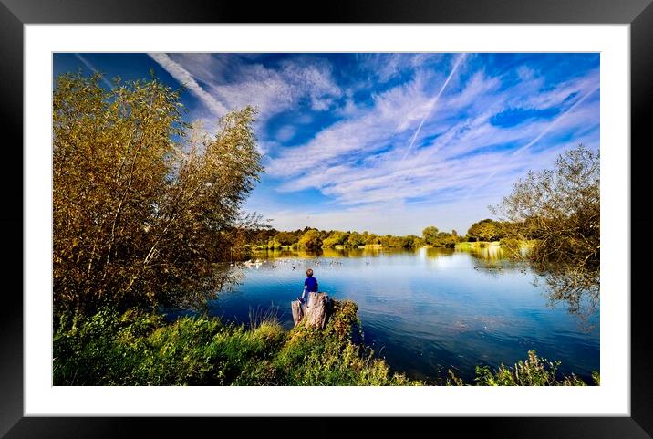 Tranquil Lake Reflections at Kingsbury Water Park Framed Mounted Print by Alice Rose Lenton
