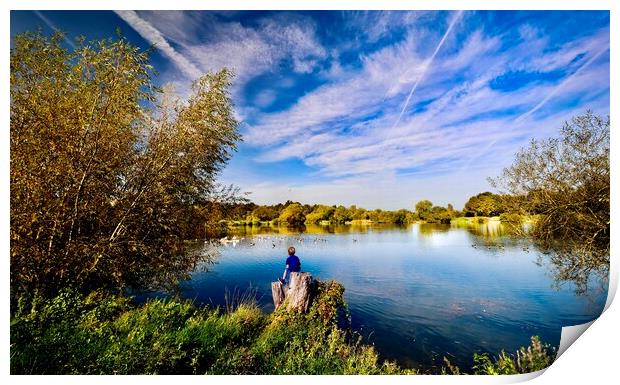 Tranquil Lake Reflections at Kingsbury Water Park Print by Alice Rose Lenton