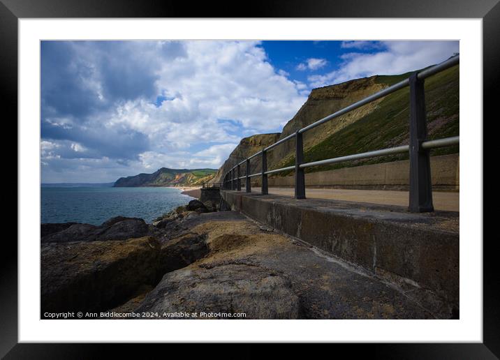 looking west at west bay Framed Mounted Print by Ann Biddlecombe