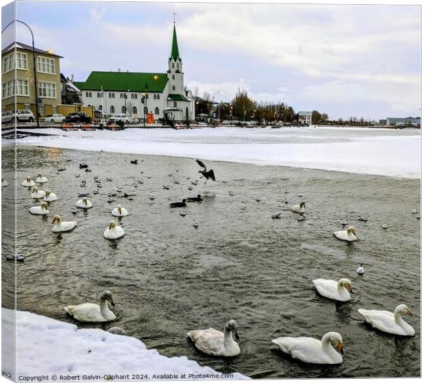 Swans in a snowy pond Canvas Print by Robert Galvin-Oliphant