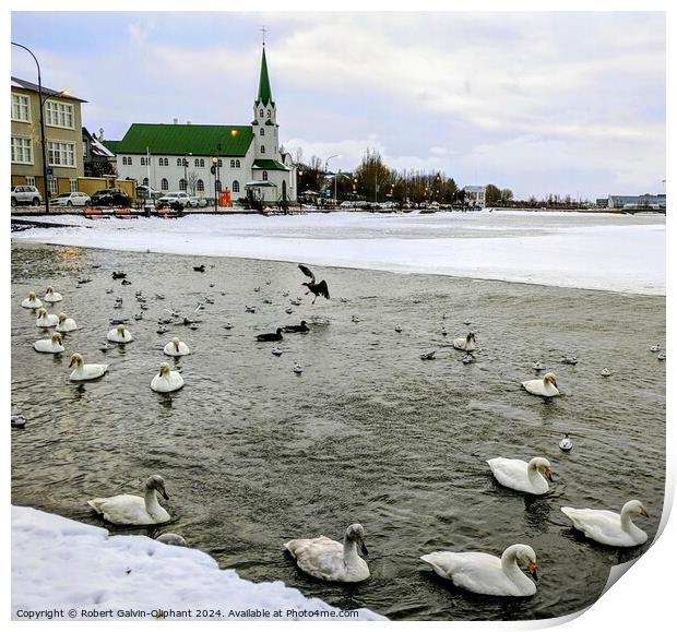 Swans in a snowy pond Print by Robert Galvin-Oliphant