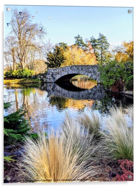 Old Stone Bridge on park pond Acrylic by Robert Galvin-Oliphant