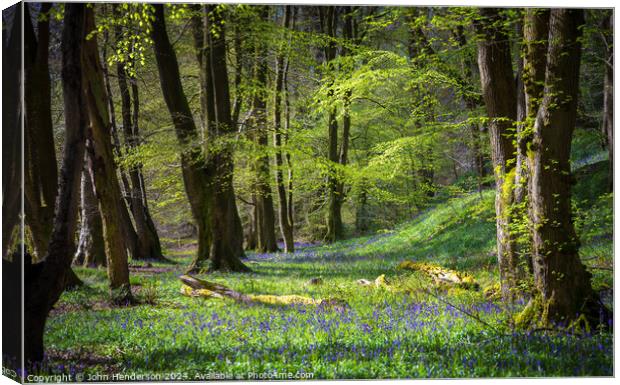 Lancashire Bluebell woodland Brock valley Canvas Print by John Henderson