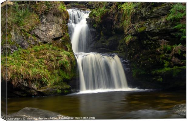 Linn Falls, Aberlour Canvas Print by Tom McPherson