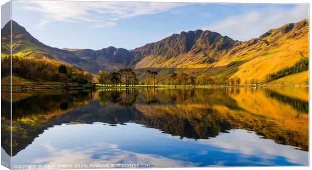 Buttermere Pines Canvas Print by Nigel Wilkins