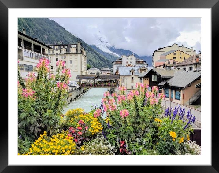 Colourful flowers in French Alps  Framed Mounted Print by Robert Galvin-Oliphant