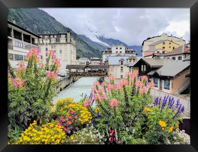 Colourful flowers in French Alps  Framed Print by Robert Galvin-Oliphant