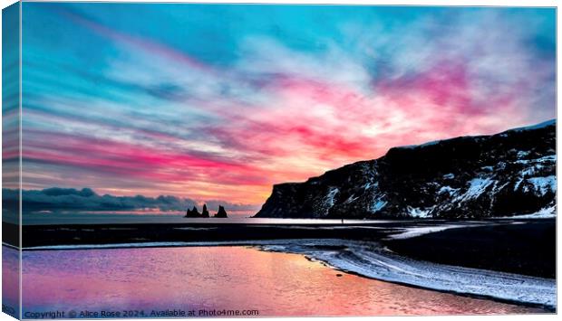 Seascape Sunset over Iceland Beach Canvas Print by Alice Rose Lenton