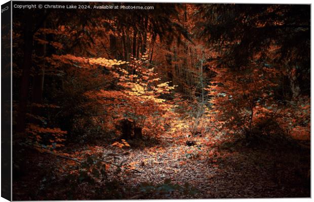 Natures Solitude      Abbots Leigh, Bristol, UK Canvas Print by Christine Lake