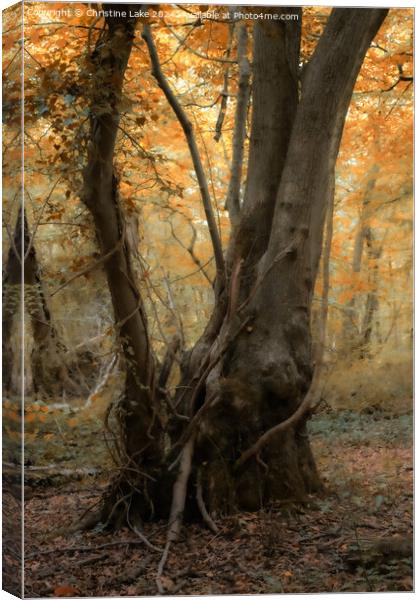 Autumn Calm     Canvas Print by Christine Lake