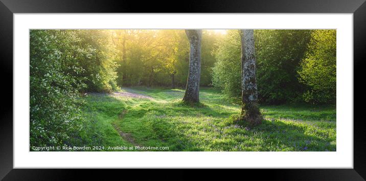 Morning Walk Through Bluebell Woods Framed Mounted Print by Rick Bowden