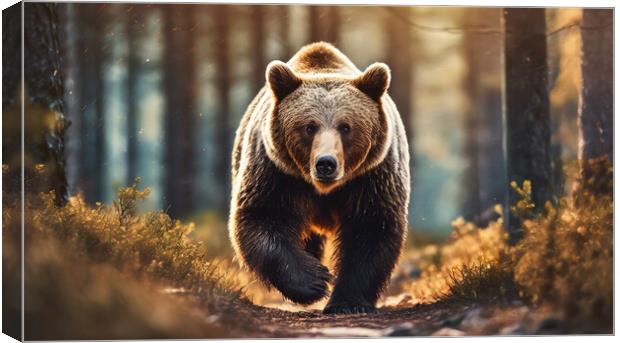 A large brown bear walking across a dirt road Canvas Print by Guido Parmiggiani