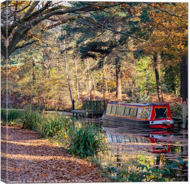 Canal Boat on the Basingstoke Canal in Autumn Canvas Print by Pearl Bucknall
