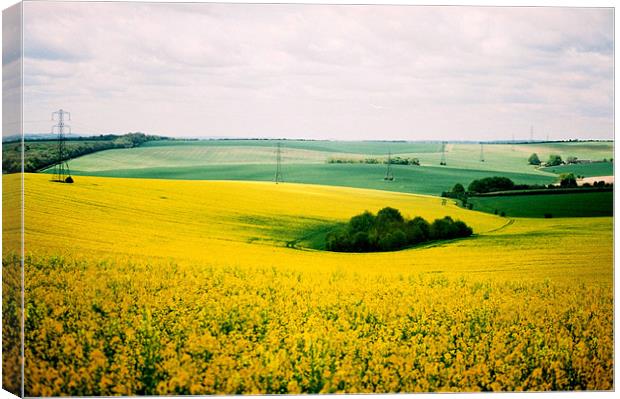 Yellow Field Canvas Print by Simon Joshua Peel
