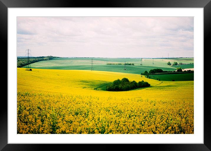 Yellow Field Framed Mounted Print by Simon Joshua Peel