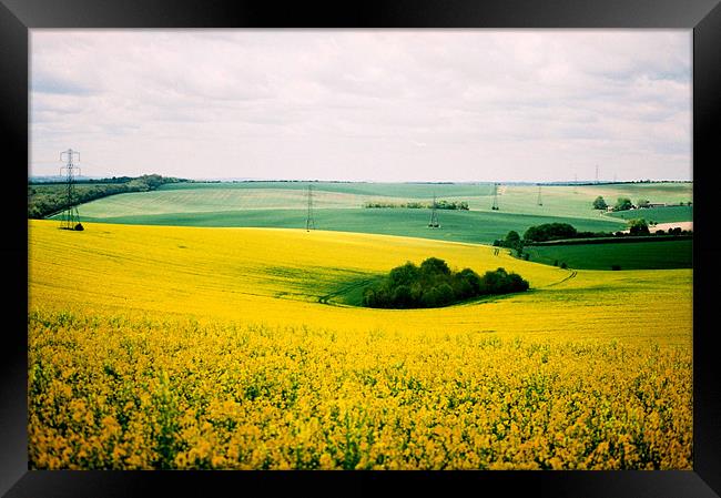 Yellow Field Framed Print by Simon Joshua Peel