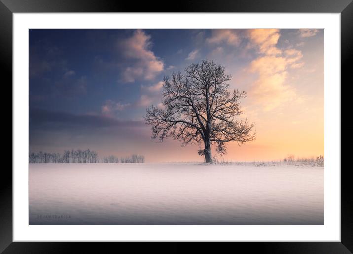 Winter idyll Framed Mounted Print by Dejan Travica