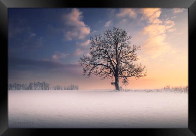 Winter idyll Framed Print by Dejan Travica