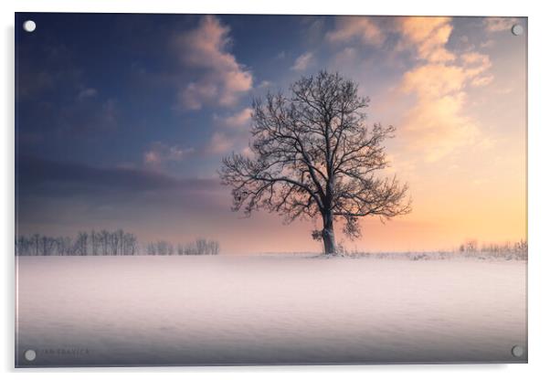 Winter idyll Acrylic by Dejan Travica