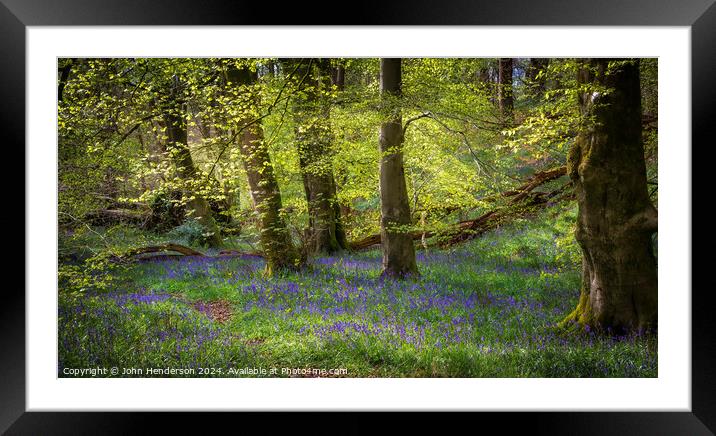 Dreamy Bluebell wood panorama. Framed Mounted Print by John Henderson