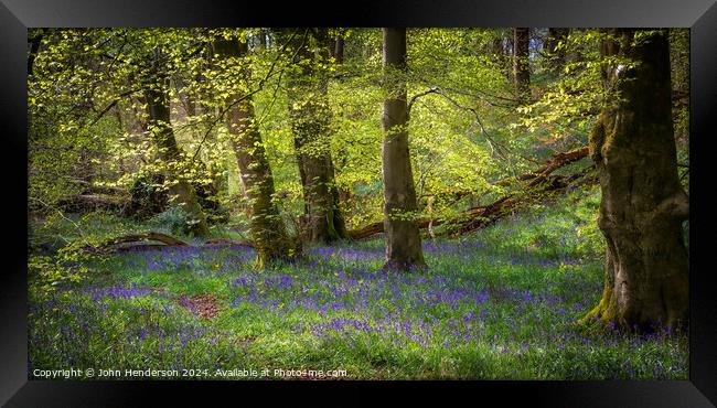 Dreamy Bluebell wood panorama. Framed Print by John Henderson