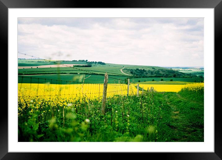 Seperating green and yellow Framed Mounted Print by Simon Joshua Peel