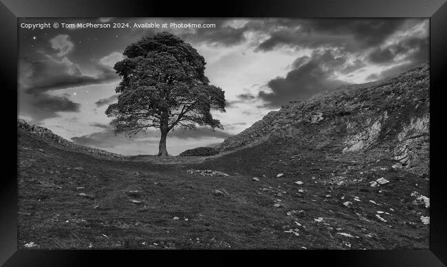 The Sycamore Gap Tree Framed Print by Tom McPherson