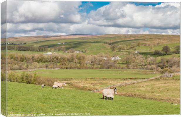 Ettersgill from Holwick, Teesdale Canvas Print by Richard Laidler