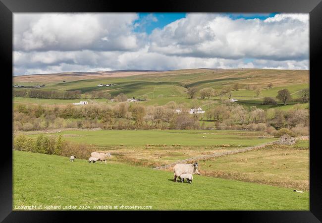 Ettersgill from Holwick, Teesdale Framed Print by Richard Laidler