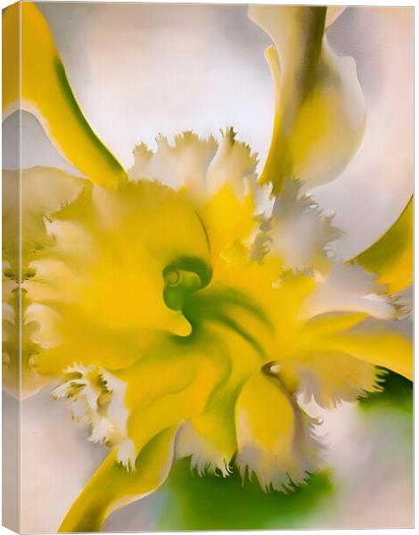 Georgia OKeeffe - An Orchid. 1941  Canvas Print by Welliam Store