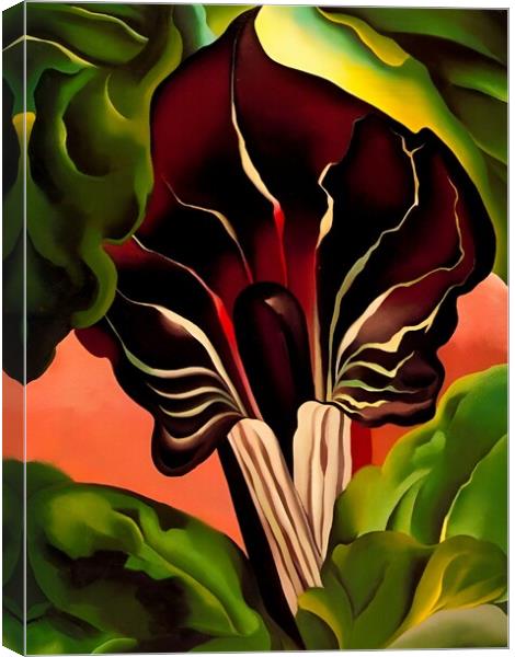 Georgia OKeeffe - Jack-in-the-Pulpit II Canvas Print by Welliam Store