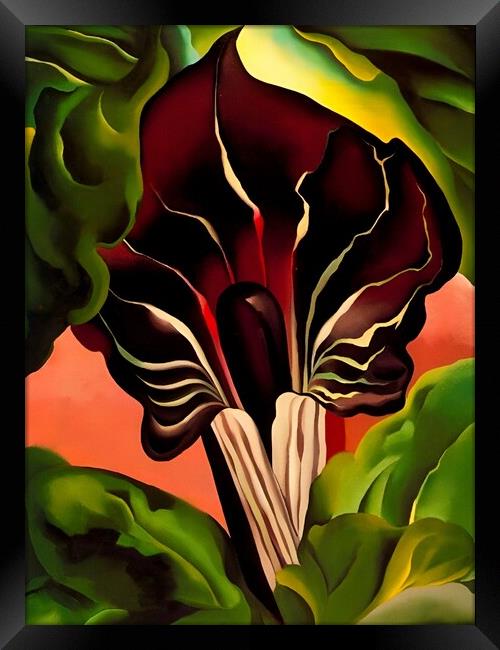 Georgia OKeeffe - Jack-in-the-Pulpit II Framed Print by Welliam Store