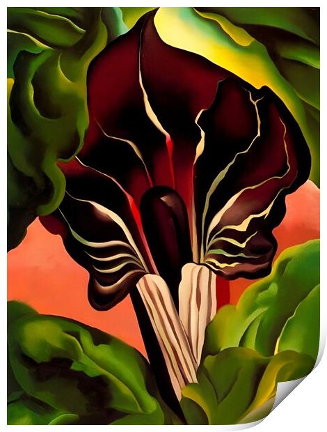Georgia OKeeffe - Jack-in-the-Pulpit II Print by Welliam Store