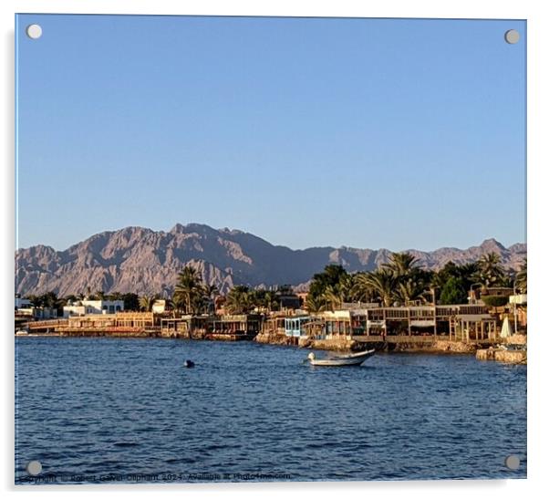 View of Dahab from the sea Acrylic by Robert Galvin-Oliphant