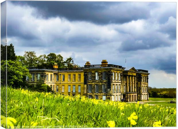 Calke Abbey Canvas Print by Ian Donaldson