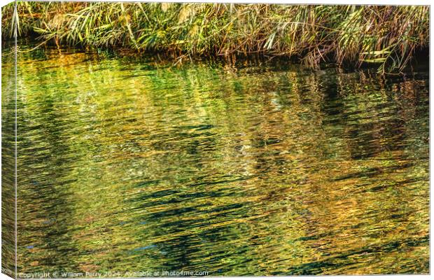 Jordan River Green Water Reflection Abstract Israel Canvas Print by William Perry