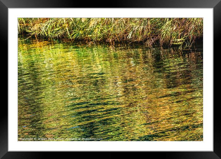 Jordan River Green Water Reflection Abstract Israel Framed Mounted Print by William Perry