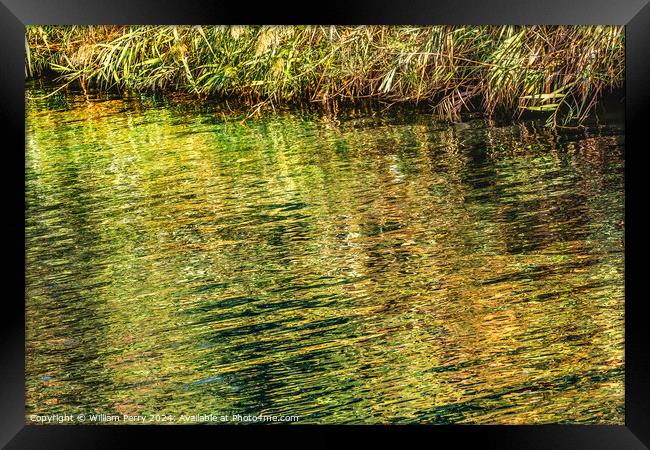 Jordan River Green Water Reflection Abstract Israel Framed Print by William Perry