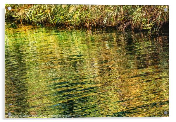 Jordan River Green Water Reflection Abstract Israel Acrylic by William Perry